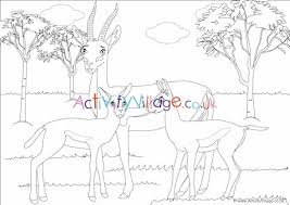 The most common ones are grant's gazelle and thompson's gazelle. Gazelles Scene Colouring Page