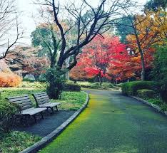 موقع شوف لايف shooflive مشاهدة وتحميل الافلام اون لاين وجديد حلقات المسلسلات التركية والاجنبية والانمي بجودات عالية وحصرية لمتابعينا. 3 Ø­Ø¯Ø§Ø¦Ù‚ Ù…Ù„ÙƒÙŠØ© ÙŠØ¬Ø¨ Ø²ÙŠØ§Ø±ØªÙ‡Ø§ Ù‡Ø°Ø§ Ø§Ù„ØµÙŠÙ Ø¨ÙˆØ§Ø¨Ø© Ø§ÙˆÙƒØ±Ø§Ù†ÙŠØ§