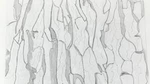 Wrap them around your neck to stay comfortable and cozy when the sun goes down and the breeze kicks in. How To Draw A Tree Bark Step By Step Drawing Tree Bark Super Easy Way Youtube