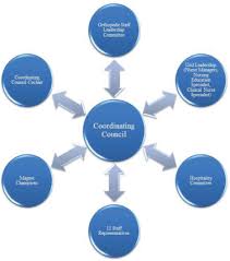 Shared Governance A Success Story Nurse Leader