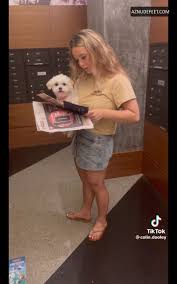 baylen dupree nude tits - Nudes.Life