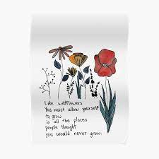 Flowers are the sweetest things god ever made and forgot to put a soul into. Wildflower Quote Posters Redbubble