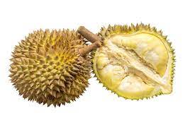 Check spelling or type a new query. 4 814 Spiky Fruit Photos Free Royalty Free Stock Photos From Dreamstime