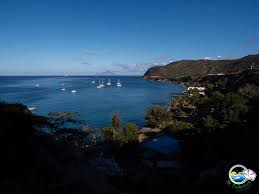 Image result for Staudtia