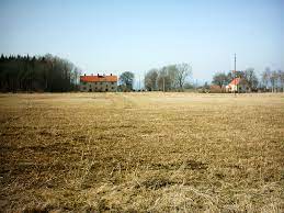 I met her in a field, she was ragged, she had no shoes. Padang Definition And Synonyms Of Padang In The Malay Dictionary