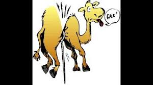 'it is easier for a camel to go through the eye of a needle, than for a rich man to enter the kingdom of god,' was he referring to a geographical three of the four gospels refer to a camel going through the eye of a needle. Matthew 19 24 Explained The Camel And The Rich Man Was Not About Money Or Greed Jesus Without Religion