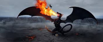 Image result for dragon photo