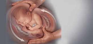 Katanya, badan baru nakpulih, so jangan banyakkan bergerak. Luka Bersalin Lambat Sembuh Steadfast