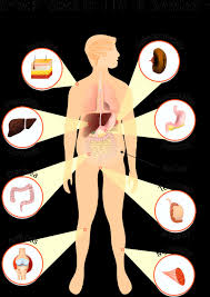 Image result for hepatitis symptoms