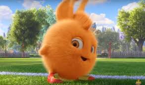  He Name Is Turbo The Fur Colour Is Orange Turbo Like Football