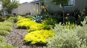 Drought Tolerant Plants Landscape Design Southern California