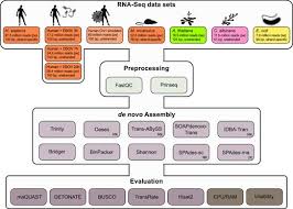 Validate User Short Reads Complementary Dna Rna Sequencing