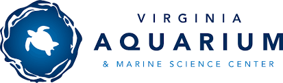 Listing of sites about virginia beach aquarium ticket coupons. Admission Virginia Aquarium Marine Science Center