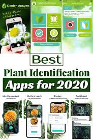 The app can also assist with caring for your garden, while tracking the growth of your flowers and plants. 19 Best Plant Identification Apps For 2021 Plant Identification Cool Plants Plant Identification App