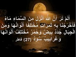 أ ل م ت ر أ ن الل ه أ ن ز ل م ن الس م اء م اء ف أ خ ر ج ن ا ب ه ث م ر ات م خ ت ل ف ا أ ل و ان ه ا و م ن ال ج ب ال ج د د ب يض و ح م ر م خ ت ل ف أ ل و ان ه ا و غ ر اب يب س ود 27 فاطر اجمل واروع الصور الاسلامية والدينية 2020