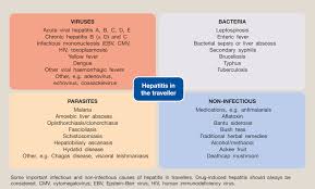 You're most likely to get hepatitis a from contaminated food or water or from close contact with a person or object that's infected. Hepatitis In The Traveller Medicine