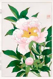 Japanese traditional tattoo designs by kazuo oguri vol.1 martin hladik horikazu: Japanese Flowers Meaning Hanakotoba èŠ±è¨€è'‰ Bangkok Tattoo Studio 13 Thailand