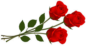 Piq8qkg5t Png 6500 3637 Rose Clipart Red Roses Single Red Rose
