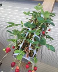 21 Diy Ikea Hacks For Plant Growers Gardeners Ikea Garden Hack Ikea Garden Diy Garden Decor