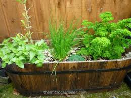 Photos of best herbs to grow indoor and outdoor gardens. Small Garden Design The Micro Gardener