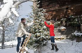 Having a gorgeously decorated tree (or trees) outside is a fantastic way to add depth and color to your outdoor display. Outdoor Christmas Decorating With Trees And Foliage