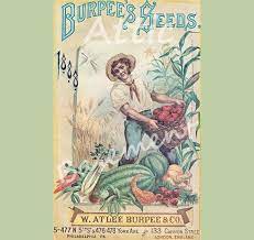Burpee Catalog Burpee S Seeds Seed Catalog 1888 Print By Atticbasement On Etsy 4 00 Seed Catalogs Vintage Prints Prints