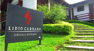 Lidio Carraro • Intelivino