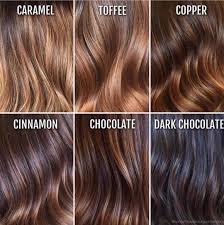 50 fall hair colors that are trending for autumn 2021 freshen up your hair color for the season with a new shade of dye. The Most Searched Top 7 Hair Color Trends 2021 45 Photos Videos