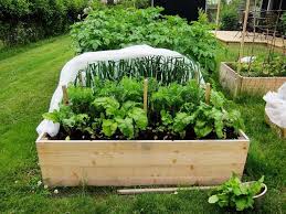 Hochbeet Anlegen Tipps Zum Richtigen Befullen Und Bepflanzen In 2020 Hochbeet Hochbeet Anlegen Garten Hochbeet