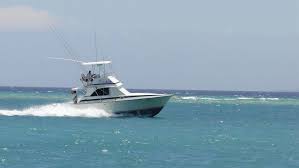Check spelling or type a new query. Aruba Fishing Charters Best Deep Sea Fishing In Aruba 2021