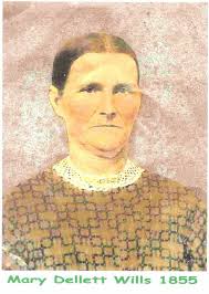 Pinelands Connections VII