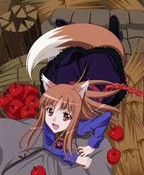 Holo The Wise Wolf Looks Like A Fox Spice And Wolf Holo Spice And Wolf Anime Wolf