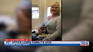 Uf health jacksonville hospital and uf health shands hospital are two of the state's nine statutory teaching. Update 2 500 Reward Woman Says Her Emotional Support Dog Escaped From Jacksonville Veterinary Clinic Action News Jax