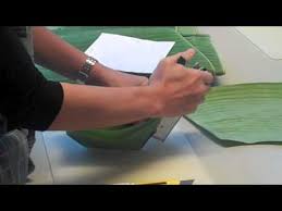 Banana leaf kratzbaum zum kleinen preis bestellen. Hormok 1 4 Making A Banana Leaf Cup Youtube
