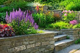 Weitere ideen zu pflanzen, garten, gärtnern. Blumenbeet Im Fruhling So Wird Ihr Garten Ein Hingucker