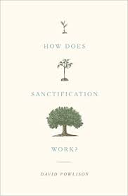 how does sanctification work amazon co uk david powlison