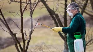 Practic, pentru foraje de uz casnic și cu țeavă de 125 mm, pentru debite de până la 4000 litri pe oră prețul este de 45 euro pe metru liniar. Ulei Horticol Cand Èi Cum Il AplicÄm Pentru Protejarea Pomilor Fructiferi