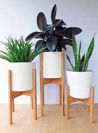 Set Of Three Mid Century Modern Plant Stands In Oak Wood Etsy Mid Century Modern Plant Stand House Plants Decor Modern Plant Stand