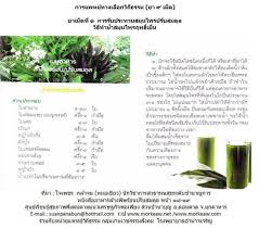 ป กพ นโดย sakunmas soursong ใน cooking