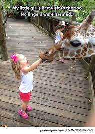 First Visit To The Zoo Animals Funny Cute Funny Animals