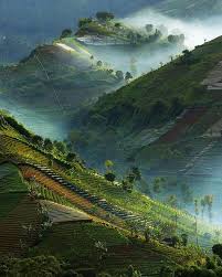 Hamparan pemandangan alam hijau dan udara yang sejuk sangat memanjakan mata dan pikiran. 13 Ide Pemandangan Pemandangan Fotografi Fotografi Alam