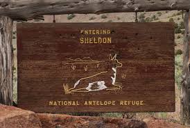 Image result for Little Catnip Spring - Sheldon Refuge Winnemucca NV
