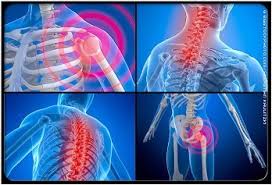 Strong enough for a pro …but made for patients. Sepcialised Back Neck Knee Shoulder Pain Service Provider From Zirakpur