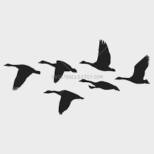 Black And White Silhouette Goose Decoys Svg Realistic Flying Flock Geese Stencil Silhouette Etsy Bird Stencil Art Silhouette