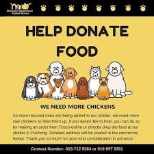 If your adopted dog or cat is found physically unfit or otherwise unsuitable, you may return the animal for a reselection within 10 days from the date of purchase. Where To Adopt Pets In Kl And Selangor Expatgo