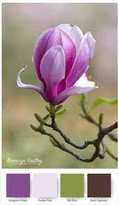 Good Morning Magnolia Stampin Up Colour Combos Magnolia Flower Flower Painting Flower Art