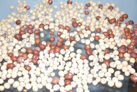 Image result for Vigna subterranea