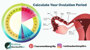 how to calculate your ovulation time using your menstrual cycle