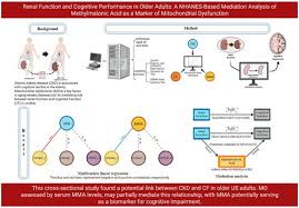 Image result for Renal Function
