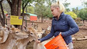 Hunters Help Safeguard Az From Chronic Wasting Disease Elemental